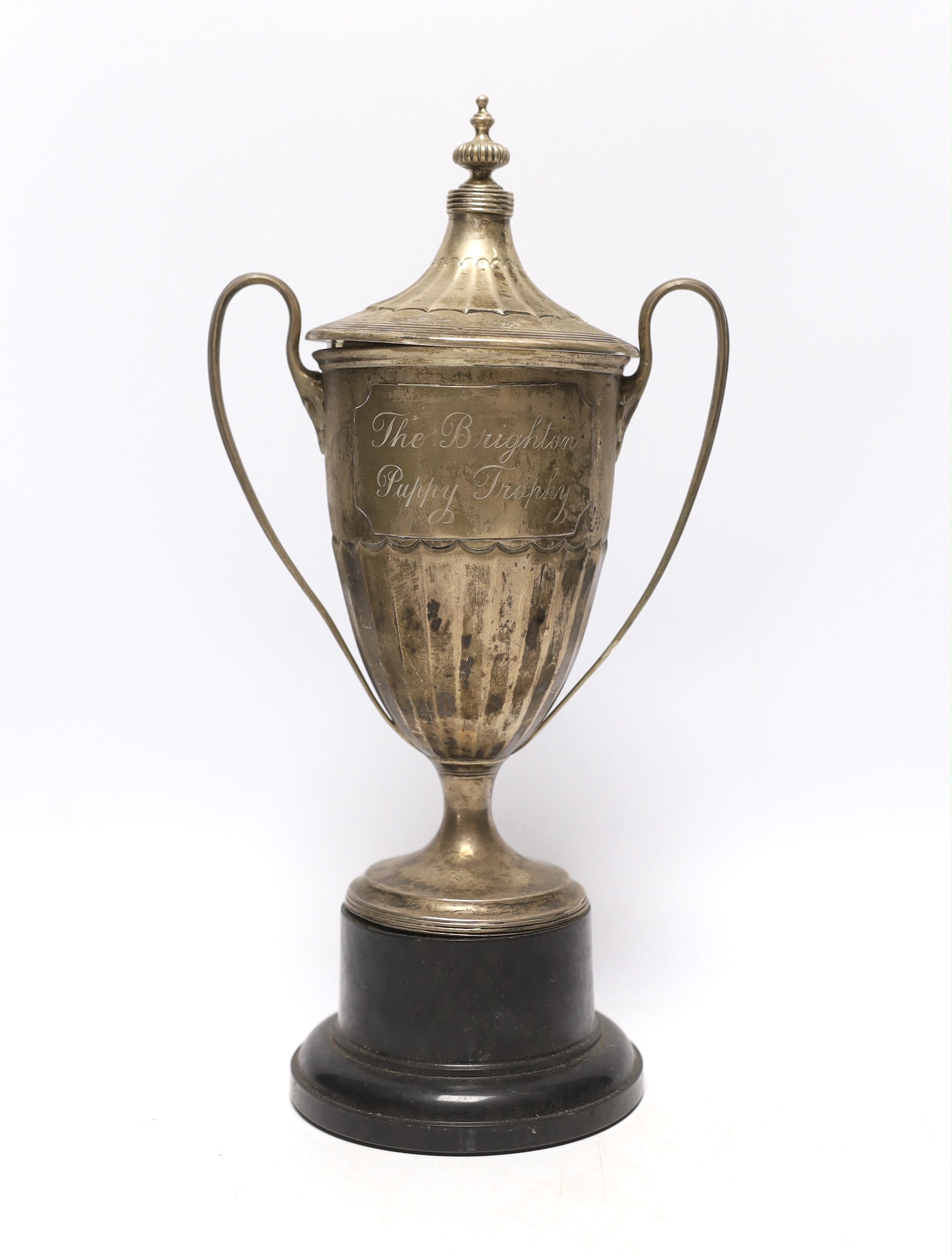 A George V silver two handled trophy cup and cover, London, 1910, on an ebonised base, cup height only, 24.5cm.